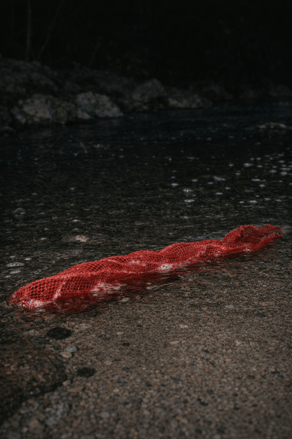0.1 NSON7 • African Net Sponge - NSON7